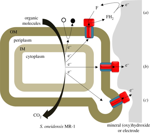 Figure 2.