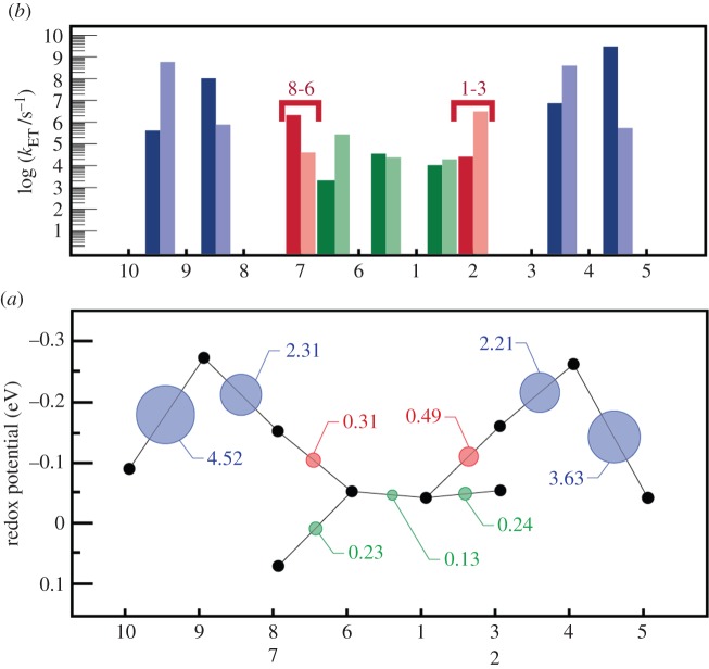 Figure 12.