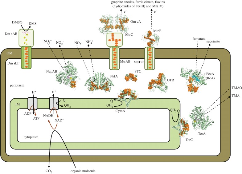 Figure 3.