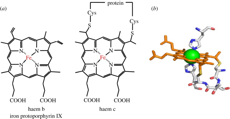 Figure 1.