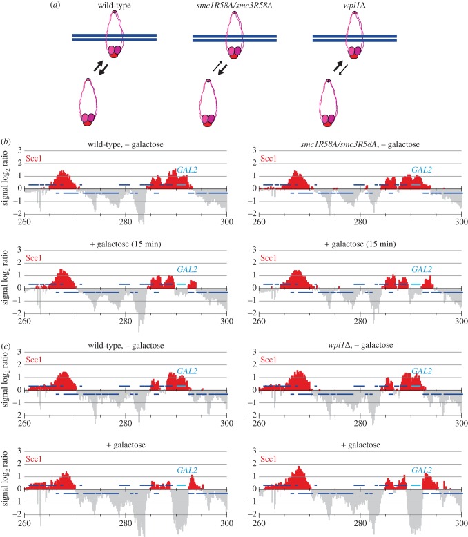 Figure 2.