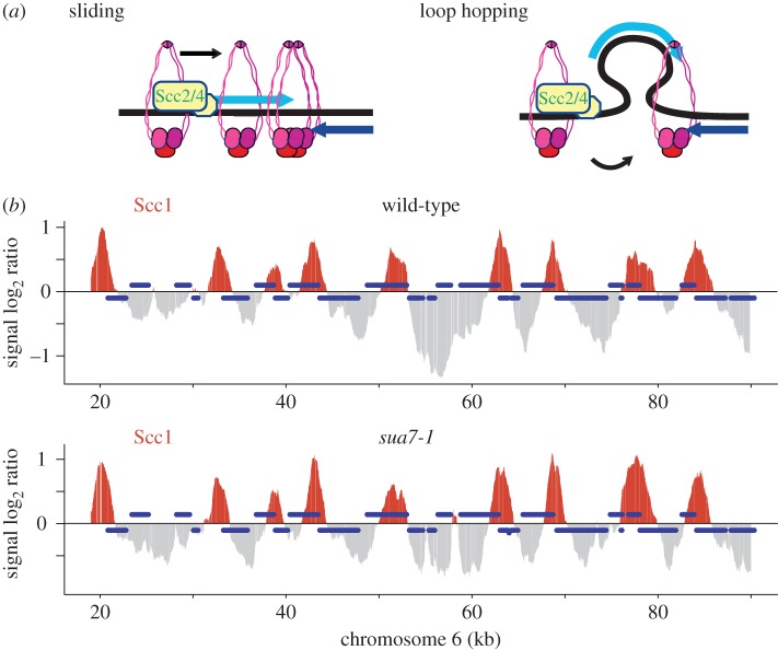 Figure 7.