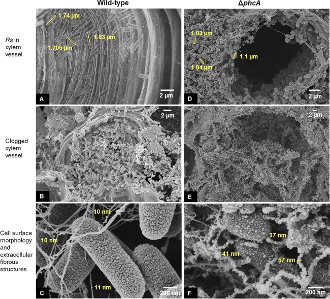 FIG 6 