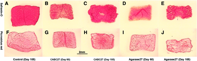 FIG. 6.