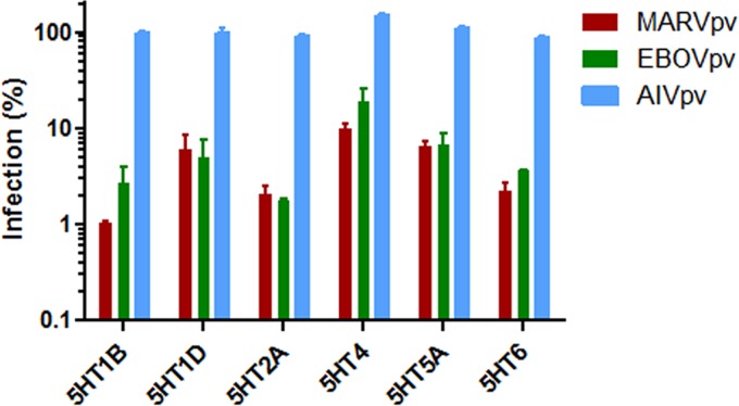 FIG 2