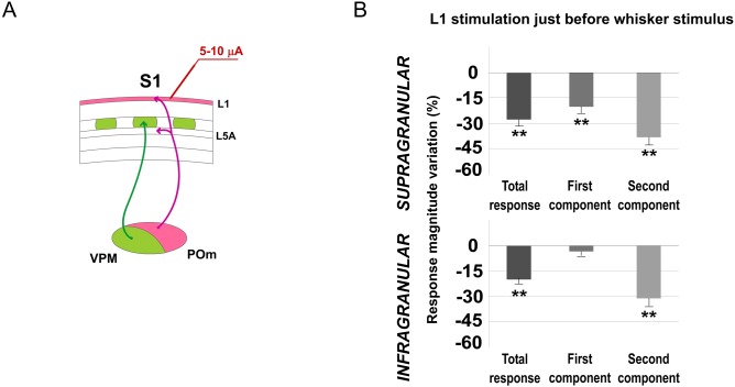 Fig 14