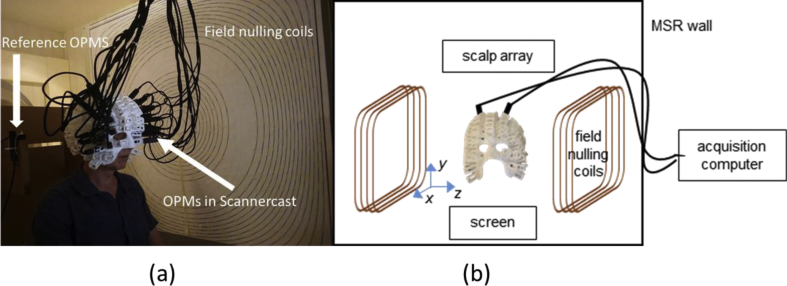 Fig. 1