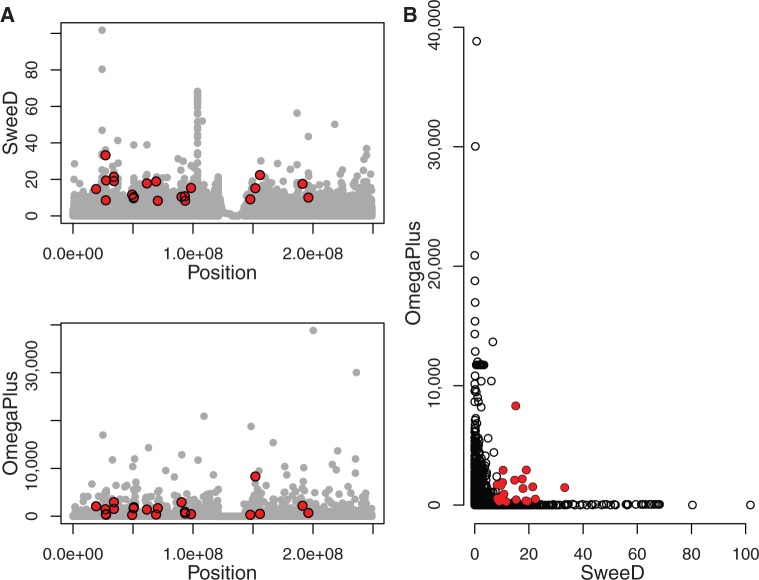 SweeD: Likelihood-Based Detection of Selective Sweeps in Thousands of ...