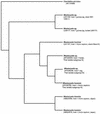 FIG. 4.