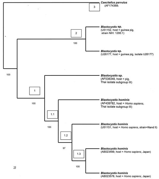 FIG. 6.