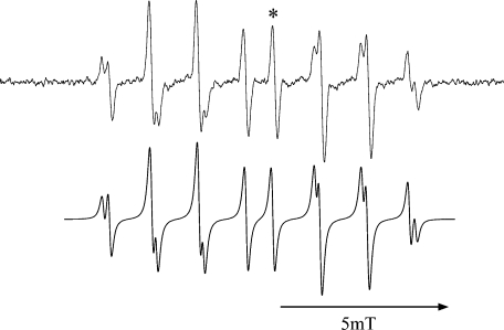 Fig. 1