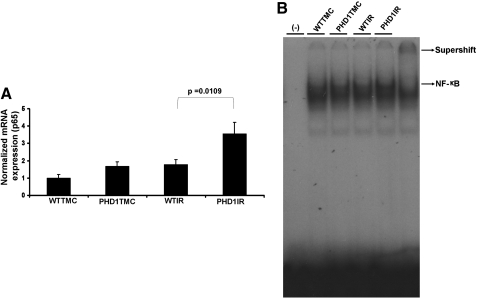 FIG. 5.