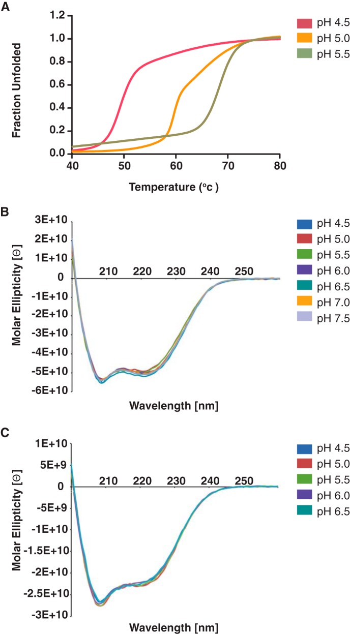 FIGURE 4.