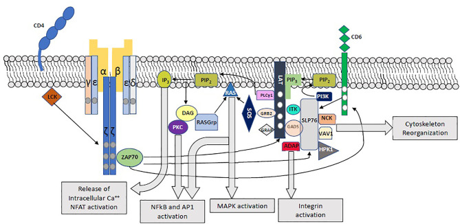 Figure 1