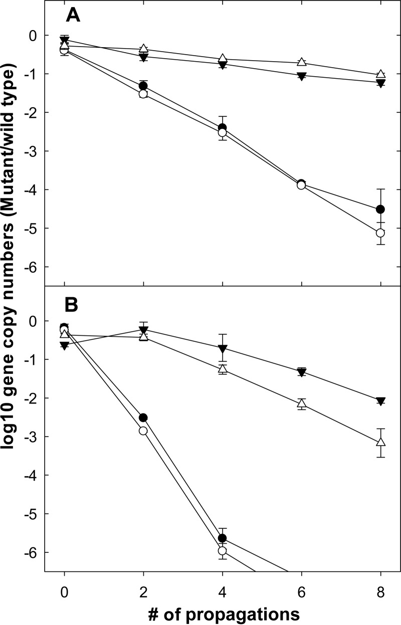 FIG 5