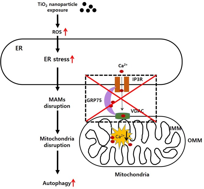 Fig 6