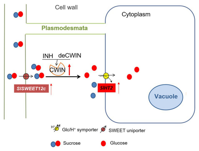 Figure 5