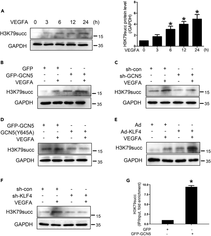 Figure 6