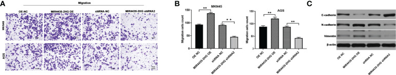 Figure 4