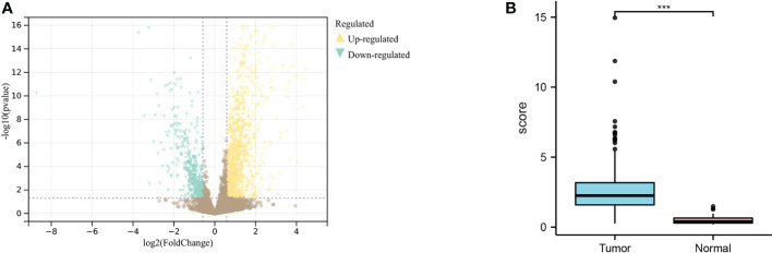 Figure 2