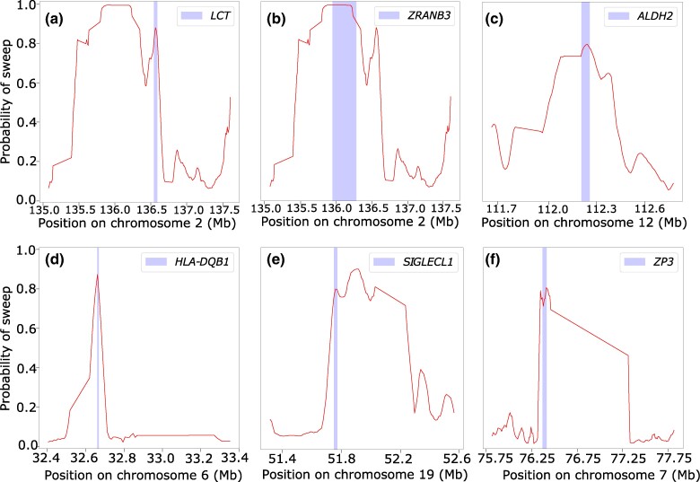 Fig. 8.