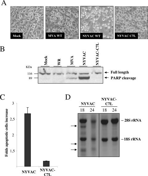 FIG. 7.