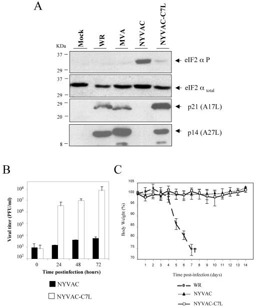 FIG. 8.