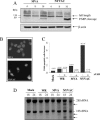 FIG. 6.