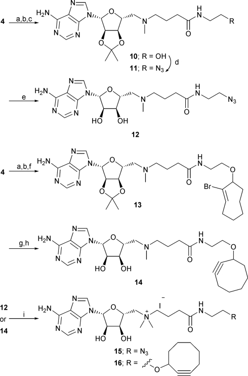 Scheme 3