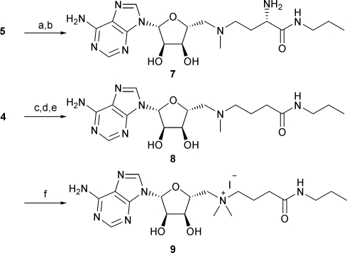 Scheme 2