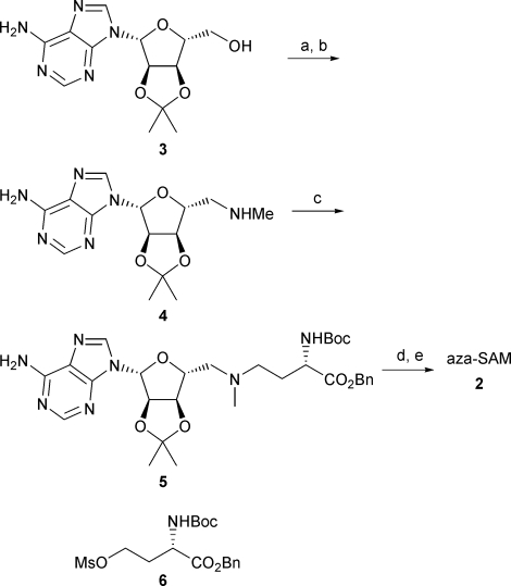 Scheme 1