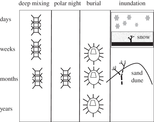 Figure 1.