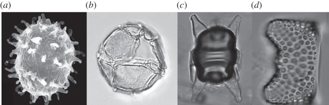 Figure 2.