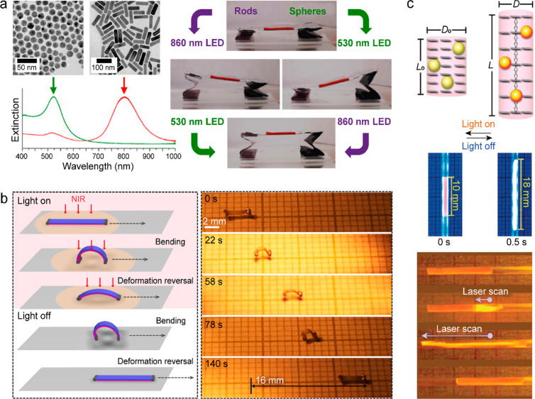 Figure 22