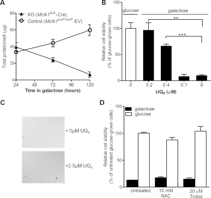 Figure 3.