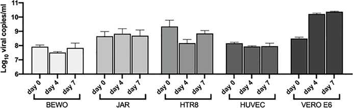 Figure 7