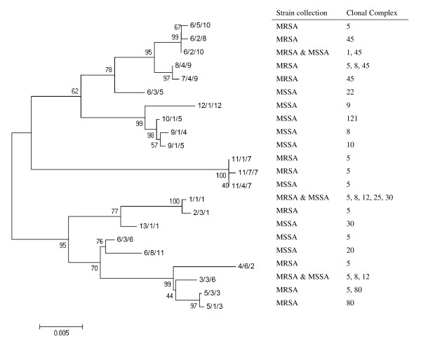 Figure 5