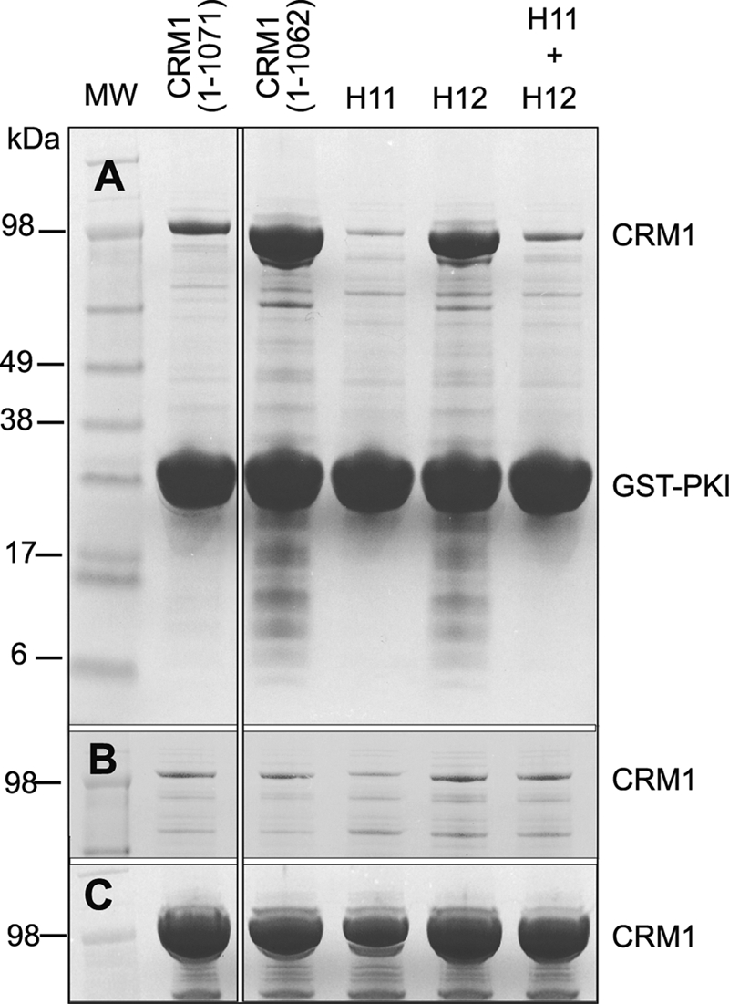 FIGURE 5.