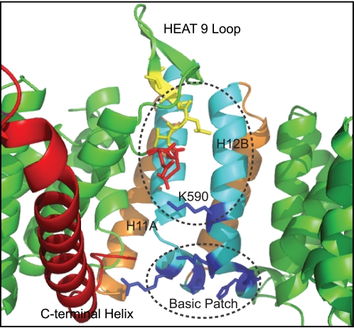 FIGURE 9.