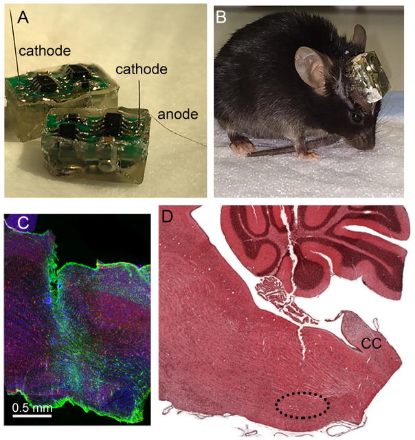 Fig. 1