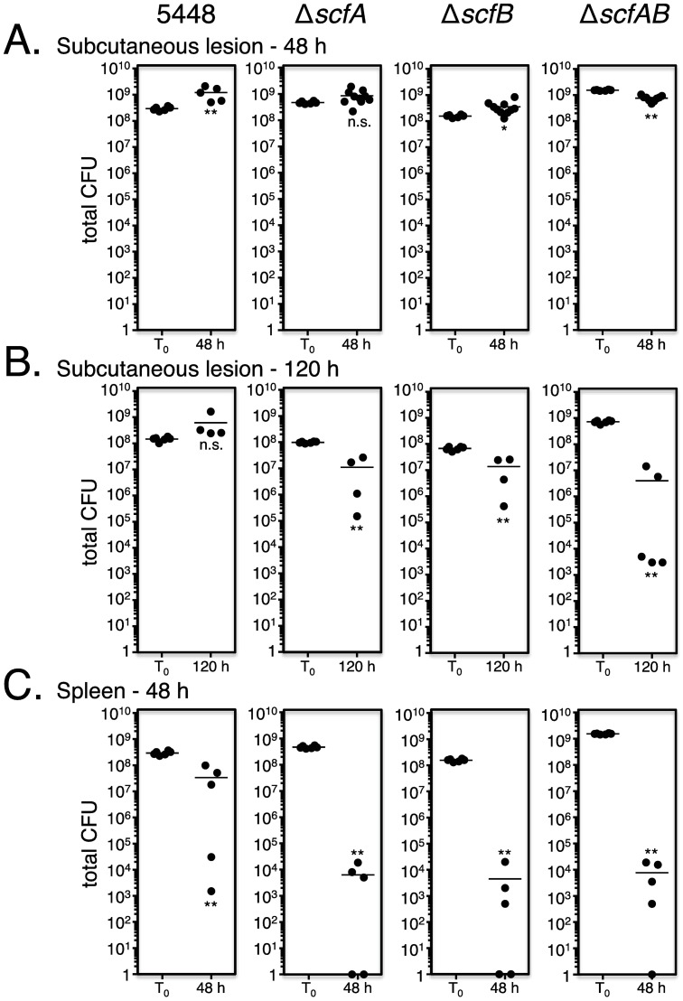 Fig 8