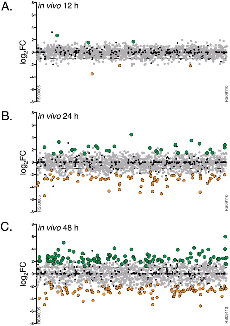 Fig 4