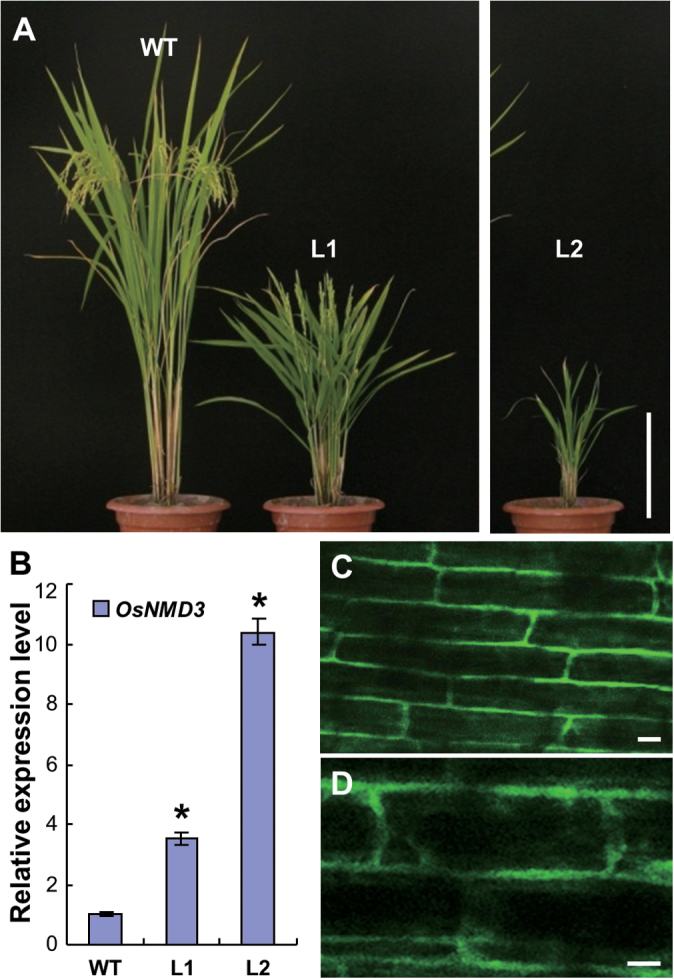 Fig. 3.