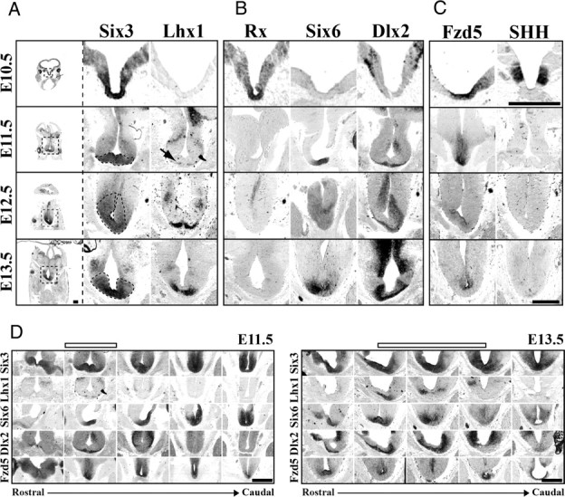 Figure 6.