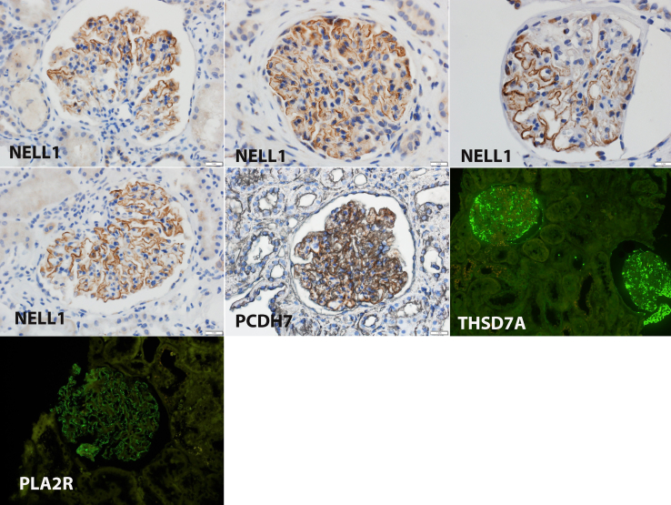 Figure 3