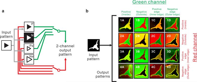 Figure 5