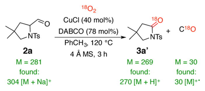 Scheme 4