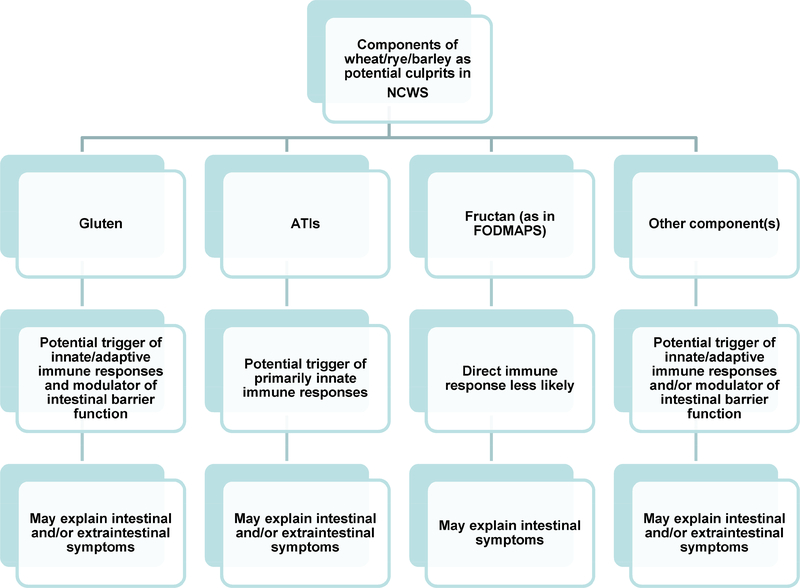 Figure 3: