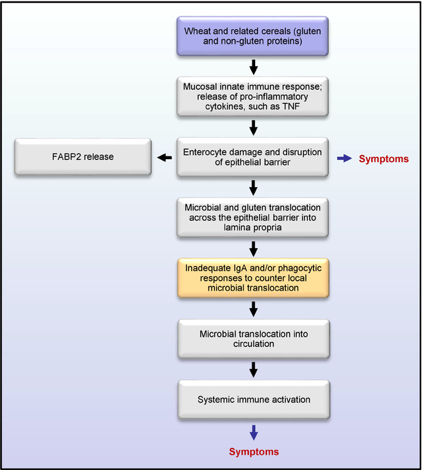 Figure 1: