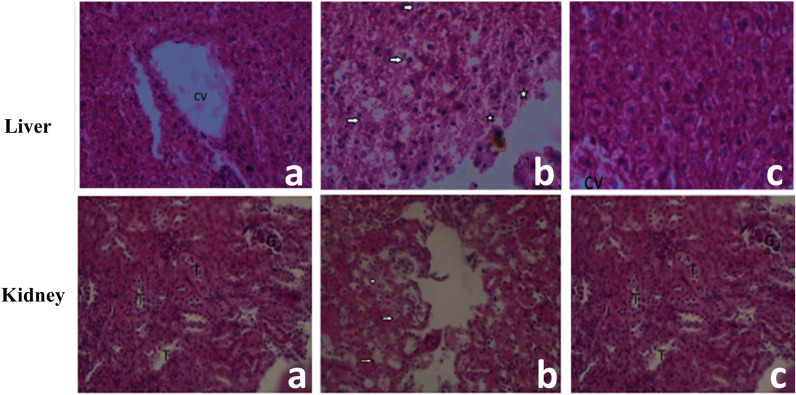 Fig. 10